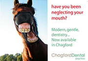 Chagford Dental postcard direct marketing campaign, produced by The Drawing Board in 2010.