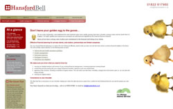 Hansford Bell Chartered Financial Planners website screenshot